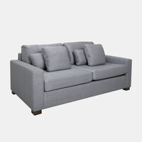 Samsee Fabric Pull-out Bed Sofa