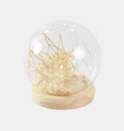 Tania Dry Flower Led Glass Ball