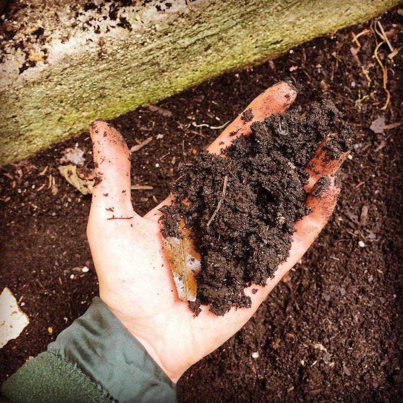 how to start vegetable garden Test and Fix The Soil