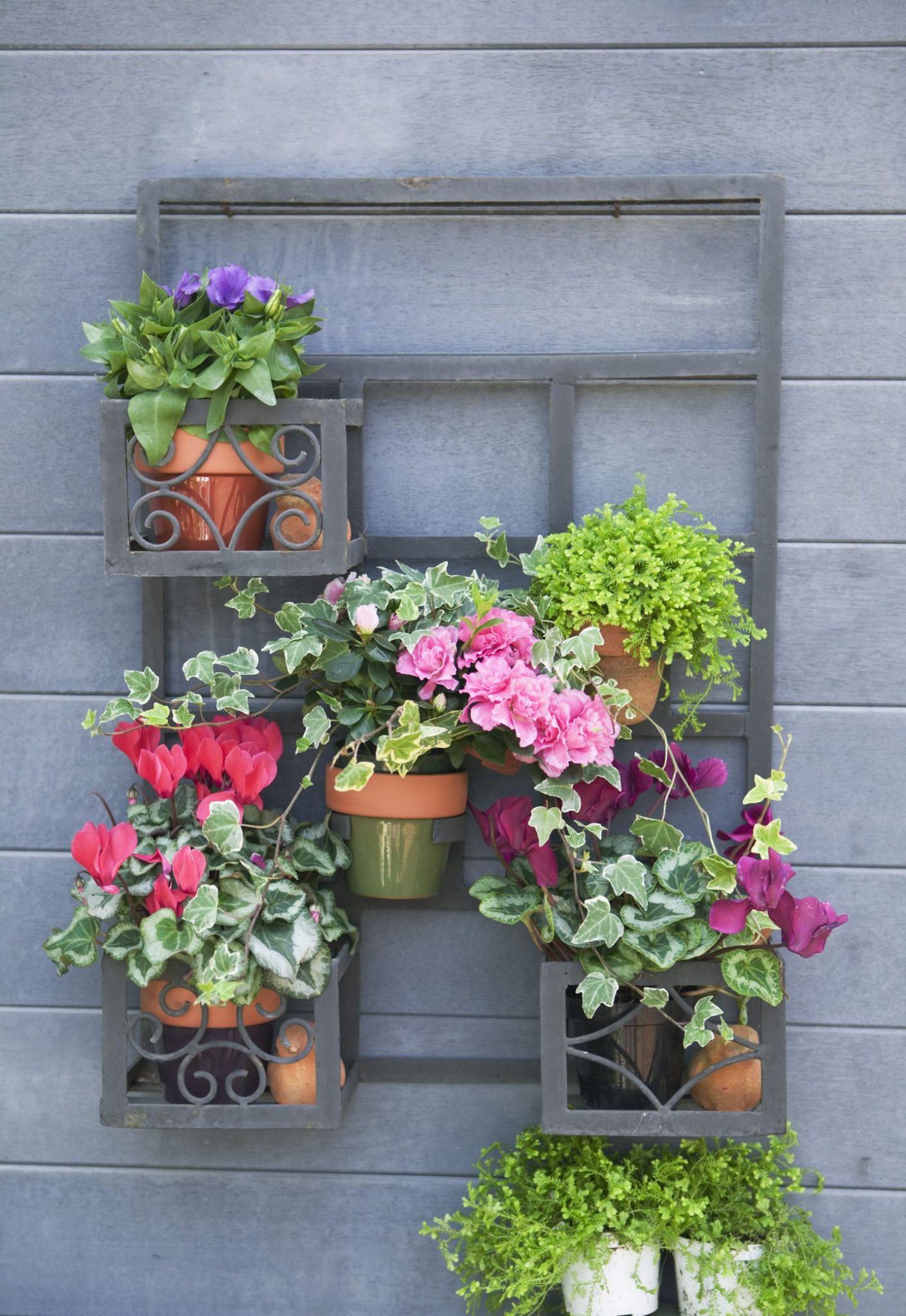 8 Small Flower Garden Ideas that Jazz Your Front Yard Up ...